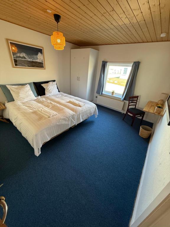 a bedroom with a large bed and blue carpet at VØ Budget Drop Inn in Thisted