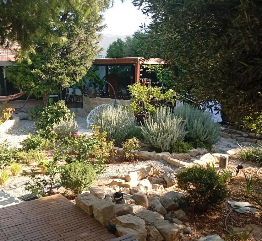 a garden with rocks and trees and a house at Little paradise in Limassol