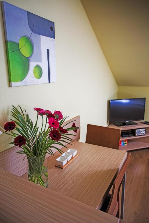 TV a/nebo společenská místnost v ubytování Vendelin Apartmany