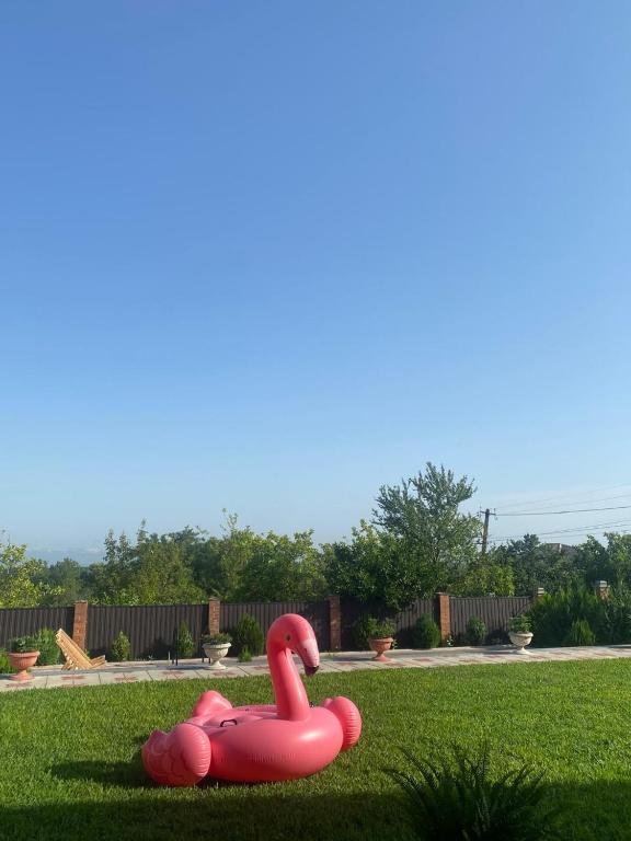 a pink inflatable flamingo in the grass in a park at West villa in Dapnari