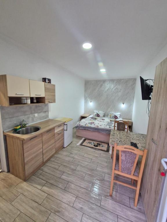 a kitchen with a sink and a bed in a room at Konak Kod Gorana 1 in Subotica