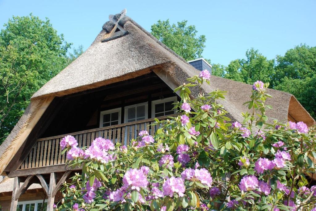 a house with a thatch roof with pink flowers at Ferienwohnung am Eichenpark, Lüneburger Heide in Egestorf