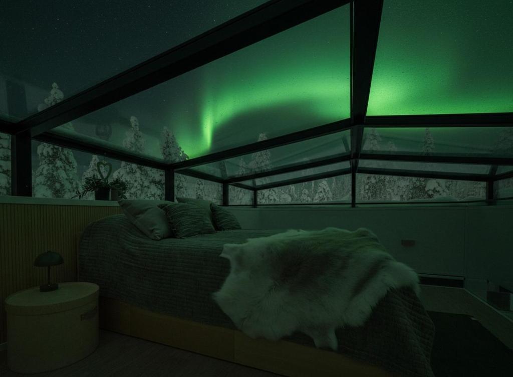a cat laying on a bed in a room with a green screen at Levi Skyview Igloo in Levi