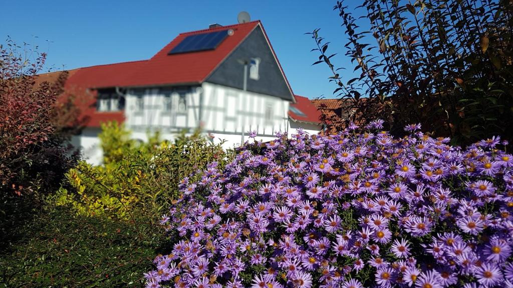 a bunch of purple flowers in front of a house at Lohbachhof in Wolfhagen