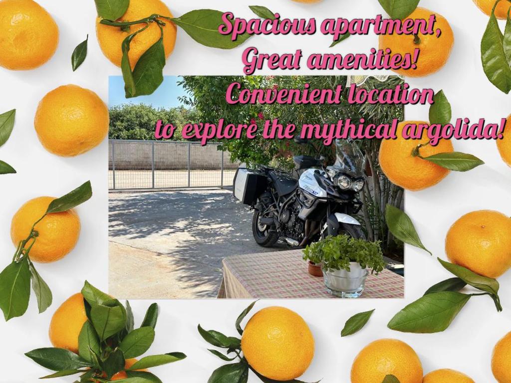 a collage of photos of oranges with a motorcycle at Lidas Sunny Guest House Argolis in Nafplio