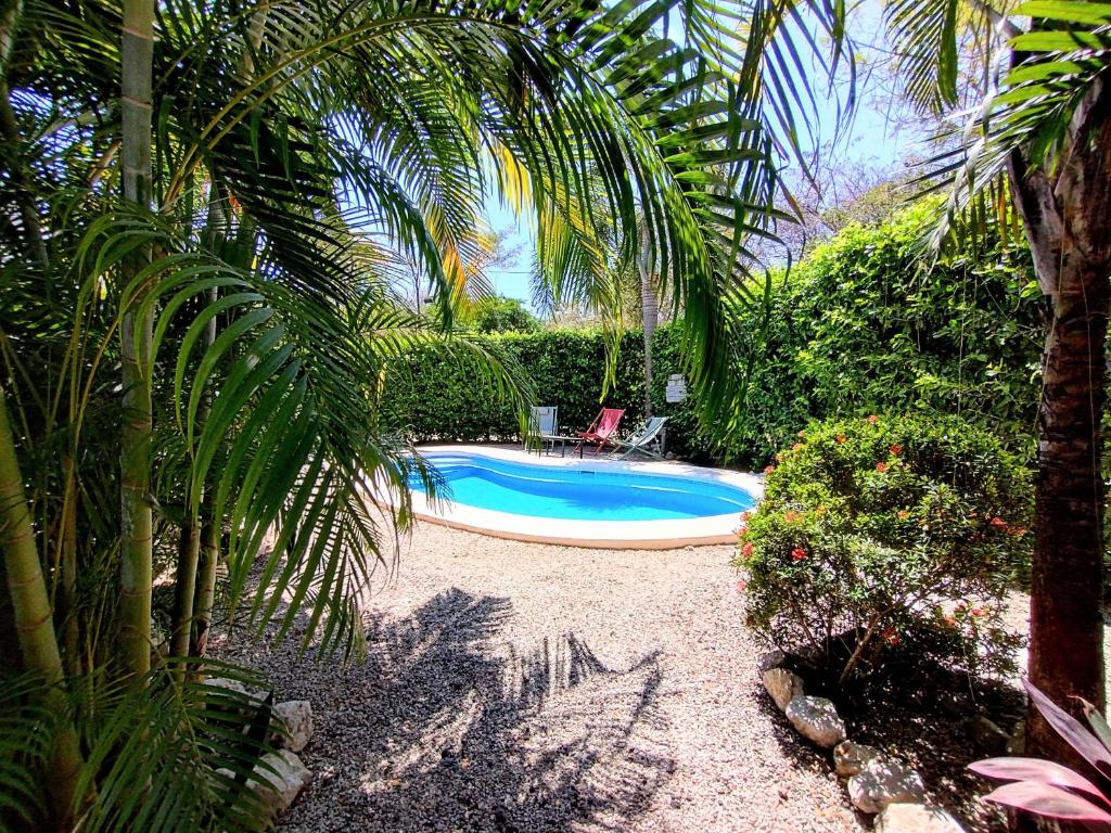 a swimming pool in a garden with a palm tree at Casa Ceiba Samara in Sámara