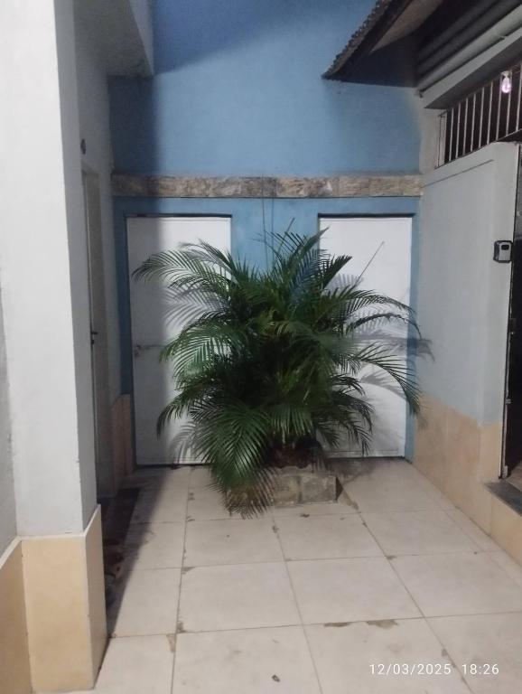 a plant in a room with two garage doors at Suíte 2 Itaguaí in Itaguaí