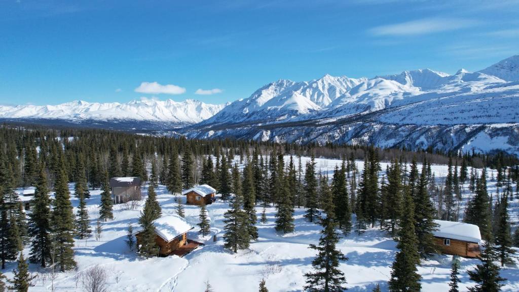 an aerial view of a snowy mountain with trees and buildings at Little Bear Getaway Cabins in Glacier View