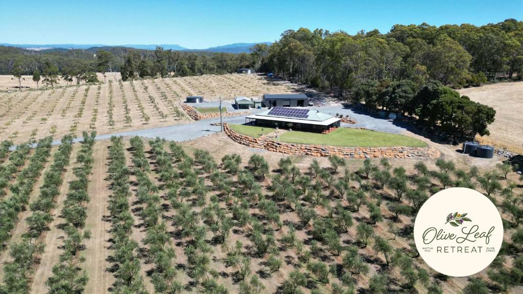 an aerial view of a farm with trees at The Olive Leaf Retreat in Latrobe