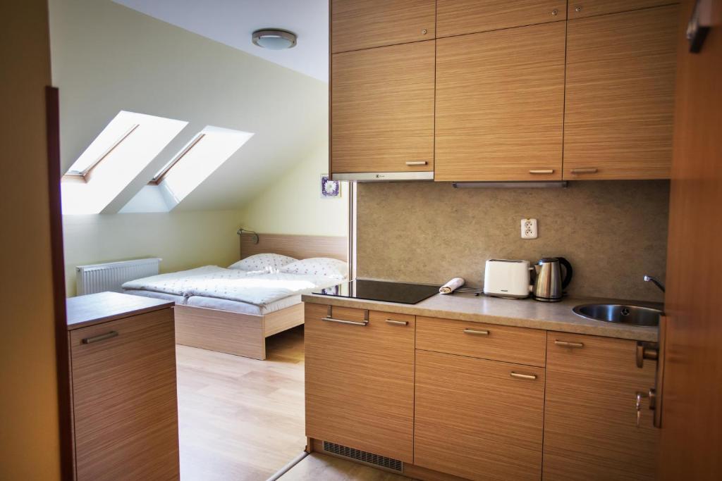 Kuchyň nebo kuchyňský kout v ubytování Vendelin Apartmany