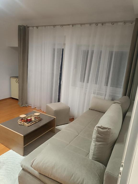 a living room with a couch and a table at Apart Robert 1 in Bicaz