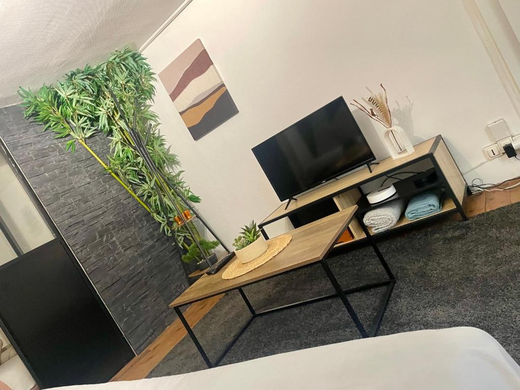 a living room with a television and potted plants at Le Cocon de la Bastille - DaLoc in Grenoble