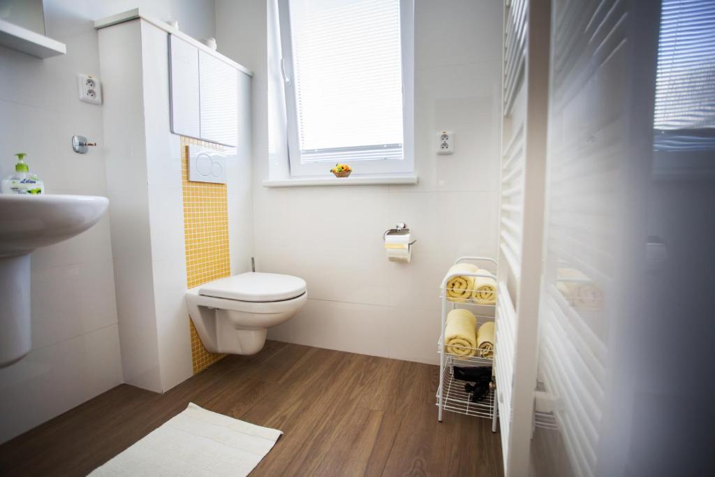 Koupelna v ubytování Vendelin Apartmany