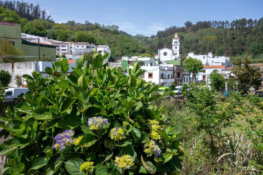 a view of a city from a hill with flowers at Tranquil Villa La cabaa Galdar in Gáldar