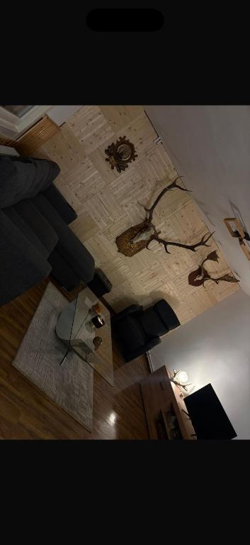 a room with a wooden floor with a painting on the ceiling at Cabana Trofelor in Comandău