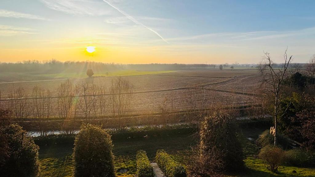 a person standing in a field at sunset at BellaVista in Saluggia