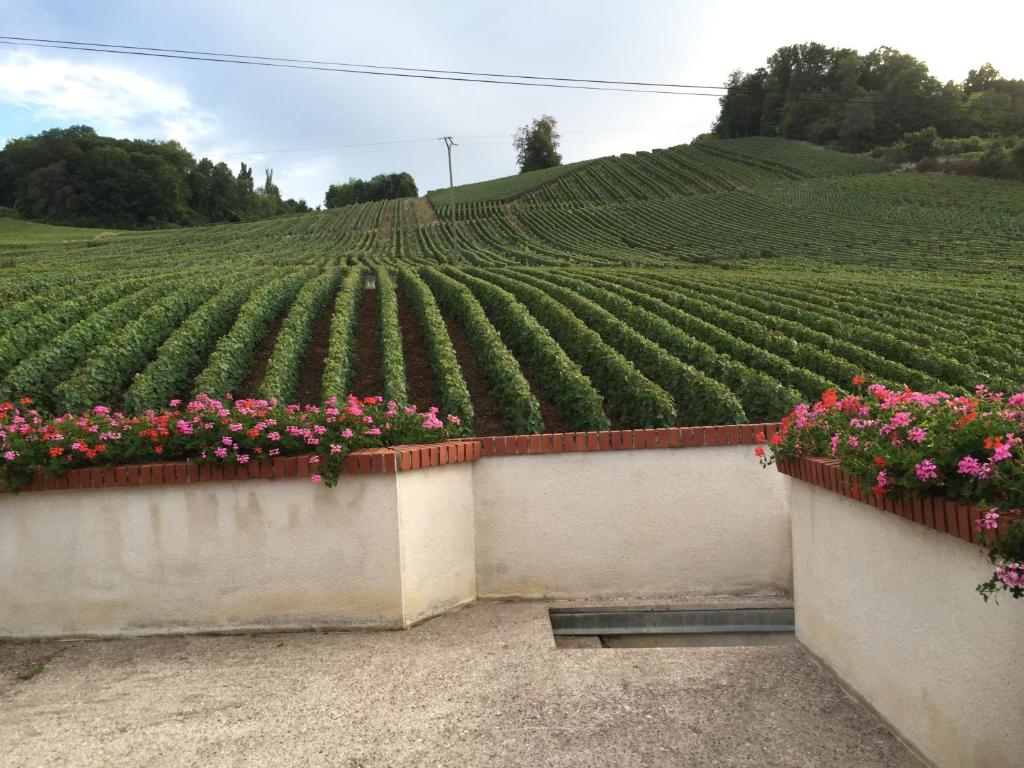 Zahrada ubytování La Loge Du Vigneron