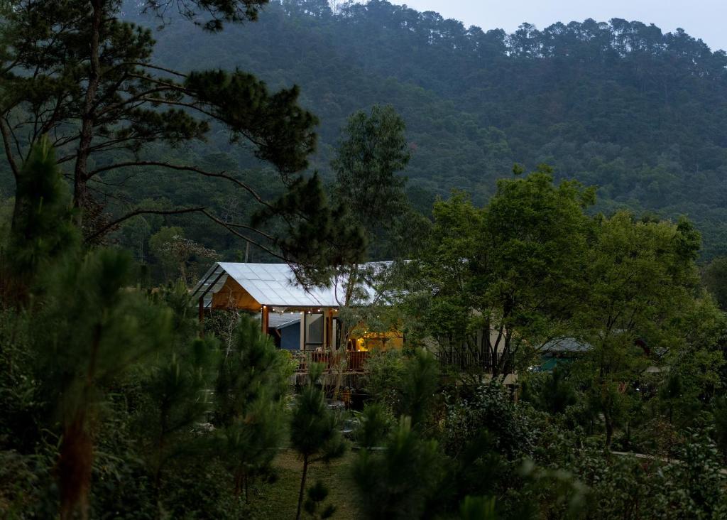 a house in a forest with mountains in the background at Quin House in Sóc Sơn
