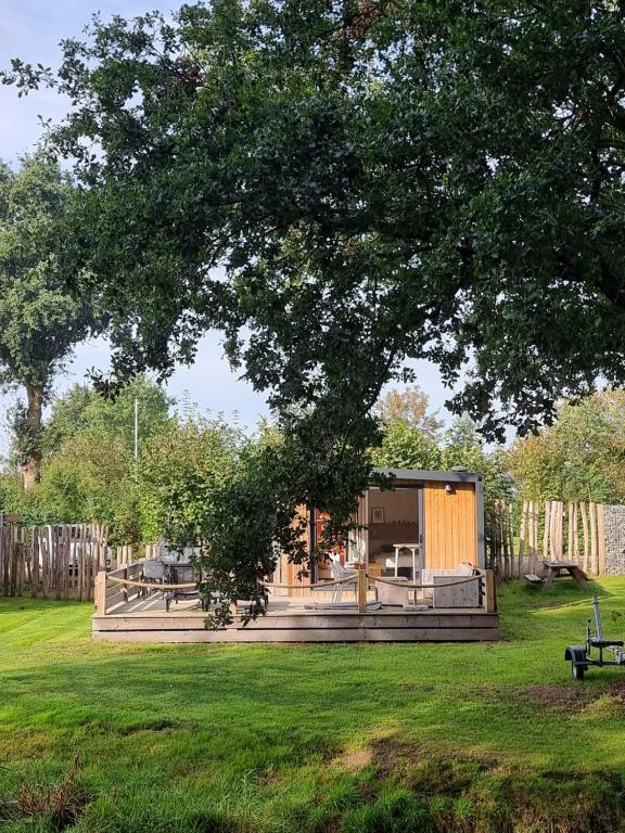 a house in a field with a tree at Tiny House in Kropswolde