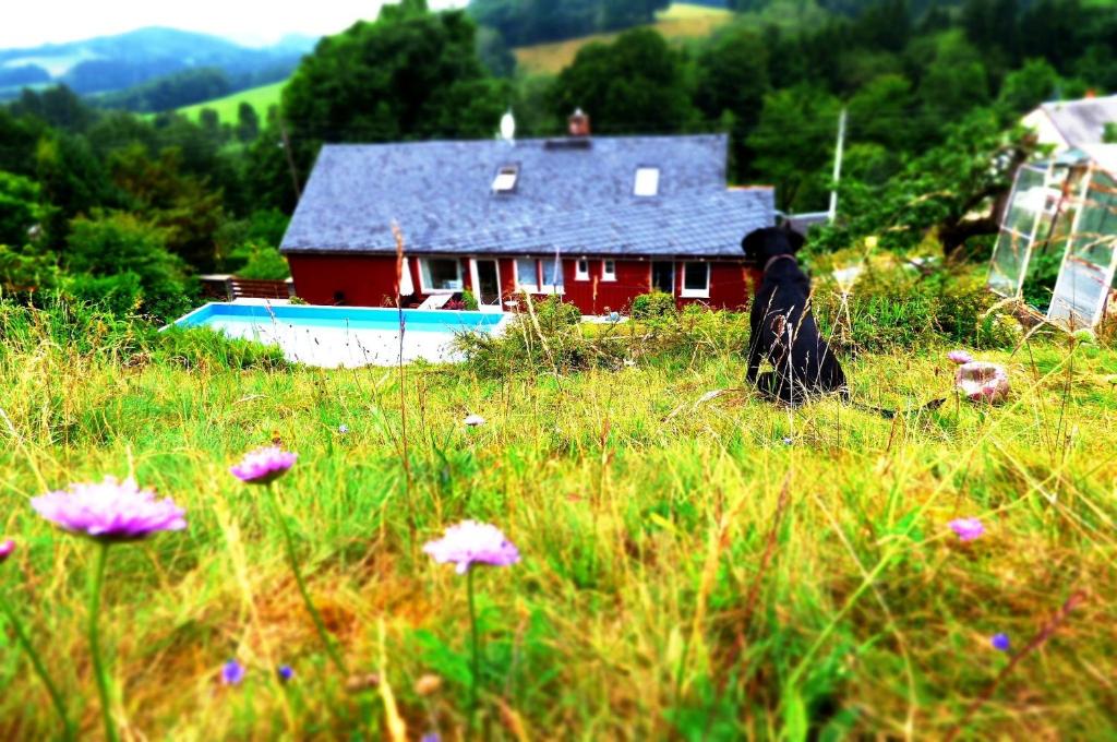 ein rotes Haus auf einem Feld von Gras und Blumen in der Unterkunft Ferienhaus am Horn in Sebnitz
