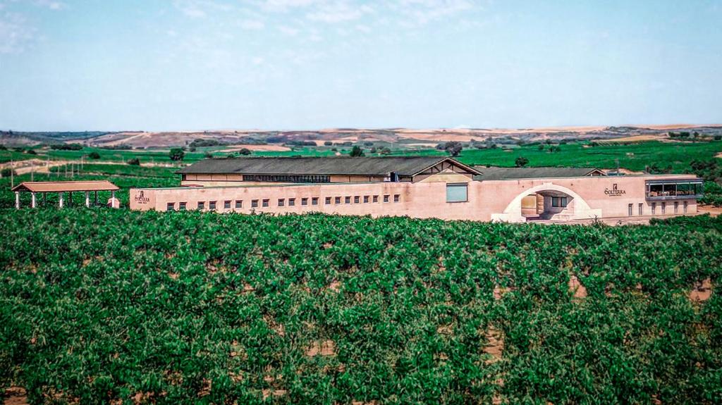 a large building on a hill with a field of grass at Alojamiento rural Solterra in Roa