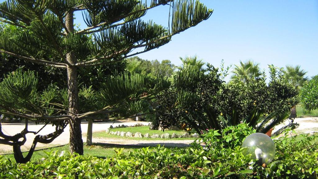 un parc avec des arbres et des buissons dans un champ dans l'établissement Tenuta Paifer, à Otrante