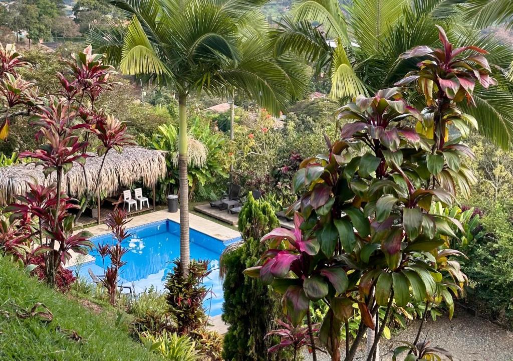 a resort with a swimming pool and palm trees at Finca Hotel Tierra Verde in Girardota