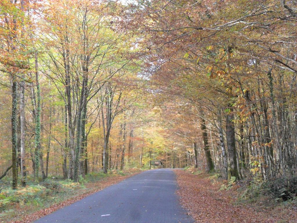 a road in the middle of a forest with trees at Chambres d&#39;Hôtes Bienvenue in LʼAbsie