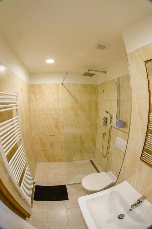 łazienka z prysznicem, toaletą i umywalką w obiekcie Hotel Panský Dům Žamberk w mieście Žamberk