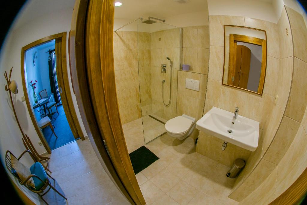 łazienka z toaletą, prysznicem i umywalką w obiekcie Hotel Panský Dům Žamberk w mieście Žamberk