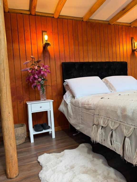 Domo ancud glamping