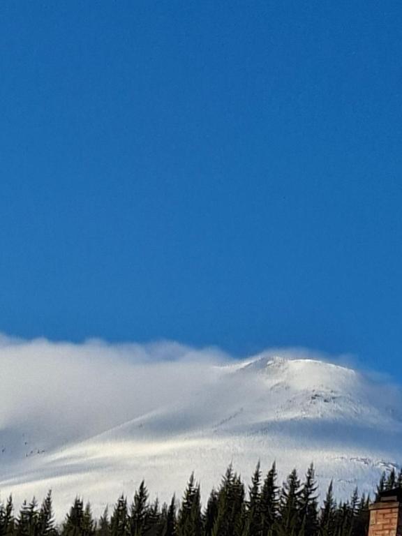 a snow covered mountain in the sky with trees at Lyngen apartment in Lyngseidet