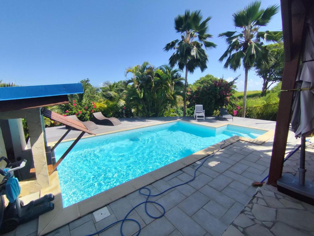 a swimming pool in a yard with palm trees at Swisstropiclodges avec piscine privée in Sainte-Anne