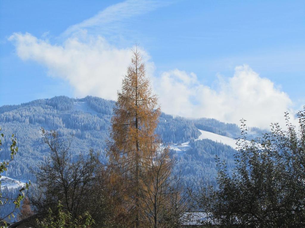 a view of a mountain with a tree in the foreground at Ferienwohnung Familie Wieser in Altenmarkt im Pongau