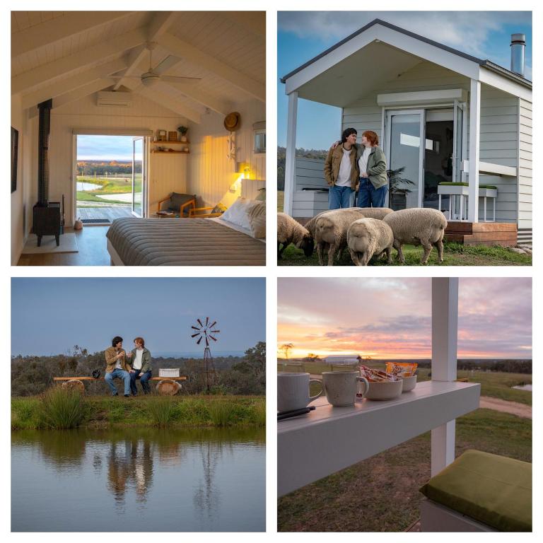 a group of four pictures of a house with sheep at Banjos Cabin Gippsland - Luxury Eco Stay w King Bed & Pond Valley Views in Seaton