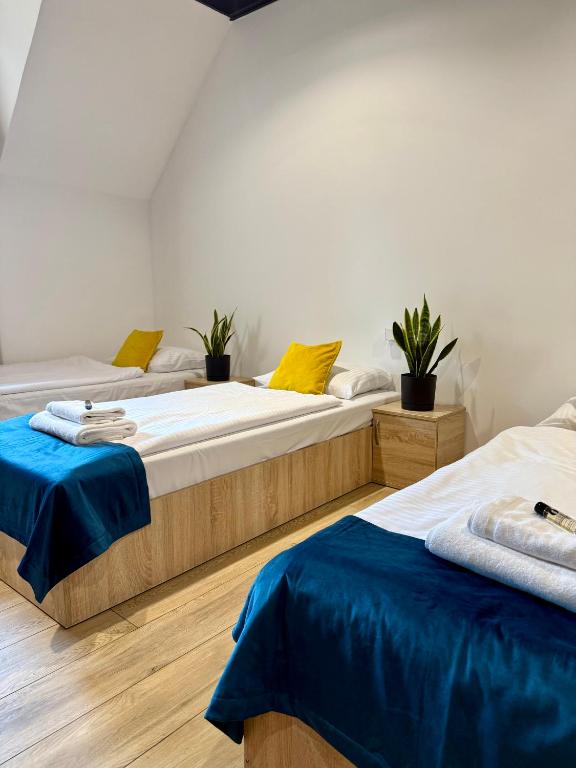 Podhalanin noclegi - Twin Room