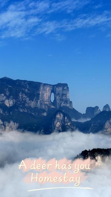 a sign that says a deer has you homesay above the clouds at A deer has you INN near by Tianmen Shan--Free pick-up-Aerial Cableway in Zhangjiajie