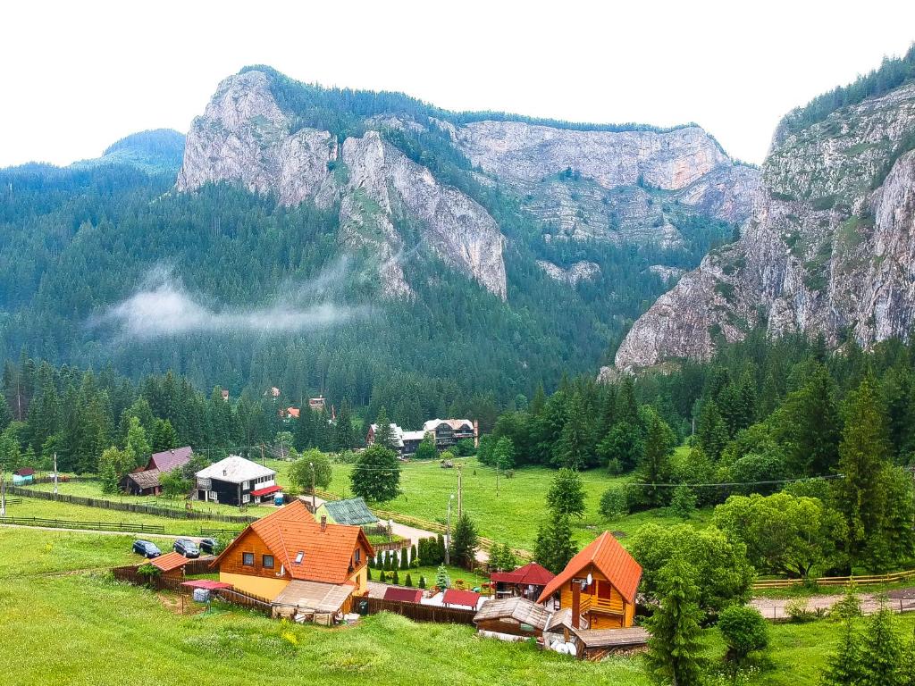a village in a field with mountains in the background at Vila Adela in Lacu Rosu