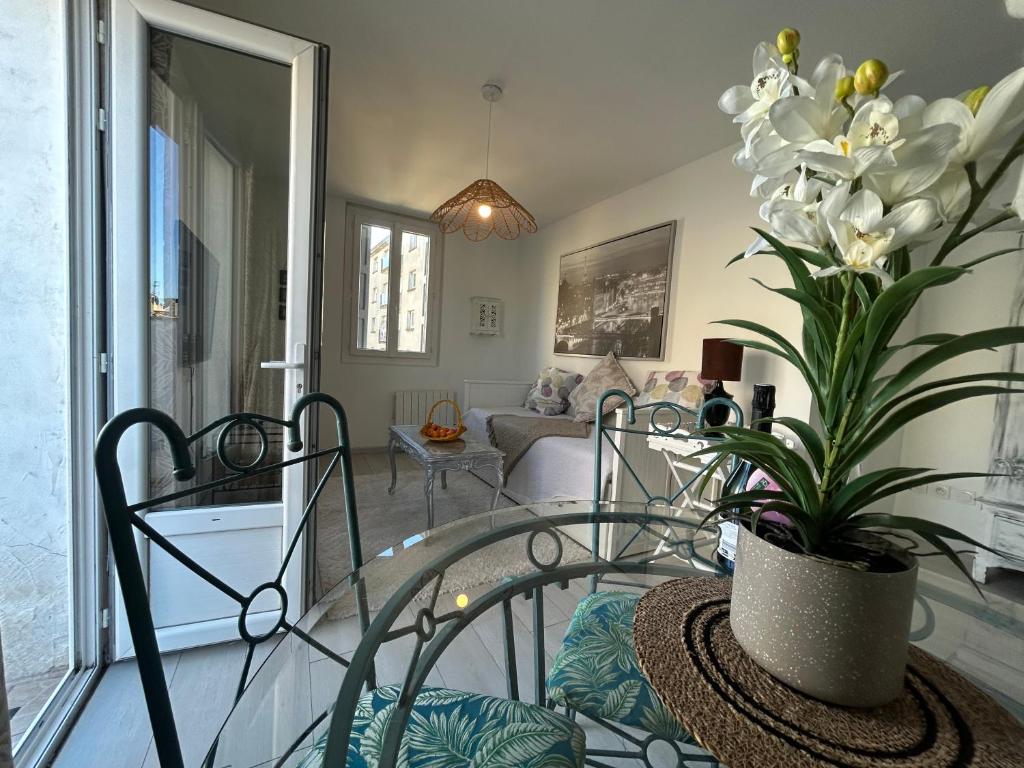 Centre Carcassonne apartment with private sunny terrace 4