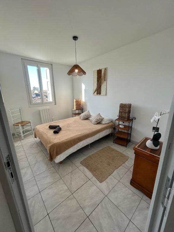 Centre Carcassonne apartment with private sunny terrace 7