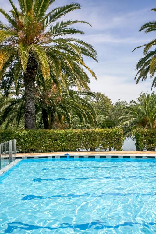a large swimming pool with palm trees in the background at Casa Govino - Dolce fare niente in Danilia