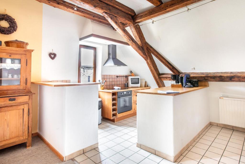 Gite "Le Muscat" à Riquewihr – photo 15