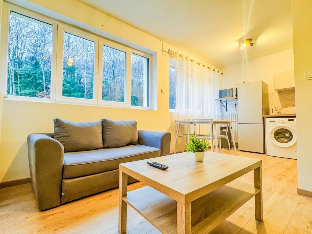 a living room with a couch and a table at 2 appartements modernes à Royat in Royat