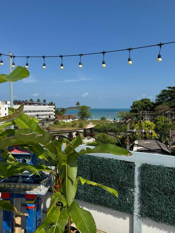 a view of the ocean from a balcony with a plant at Hostel Samui in Nathon Bay