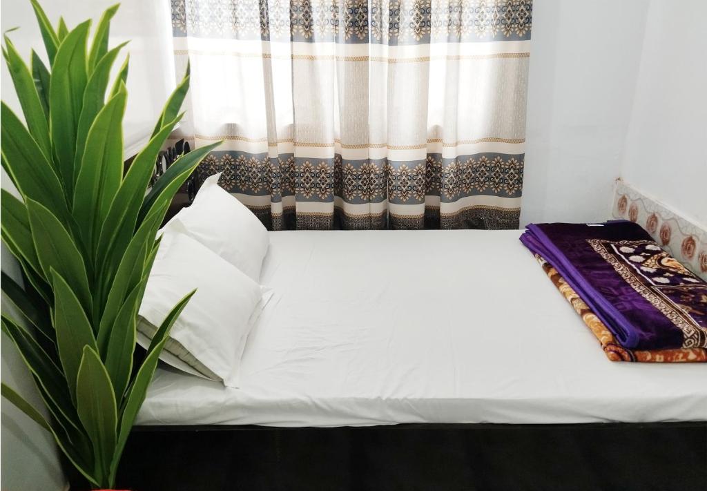 Hotel Taqwa Dhanmondi