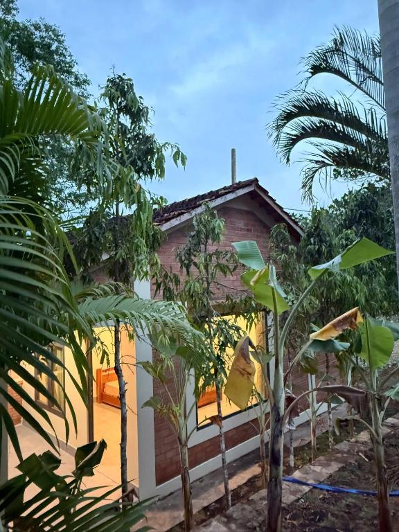 a house with palm trees in front of it at Green Haven Hill Phu Quoc in Phú Quốc