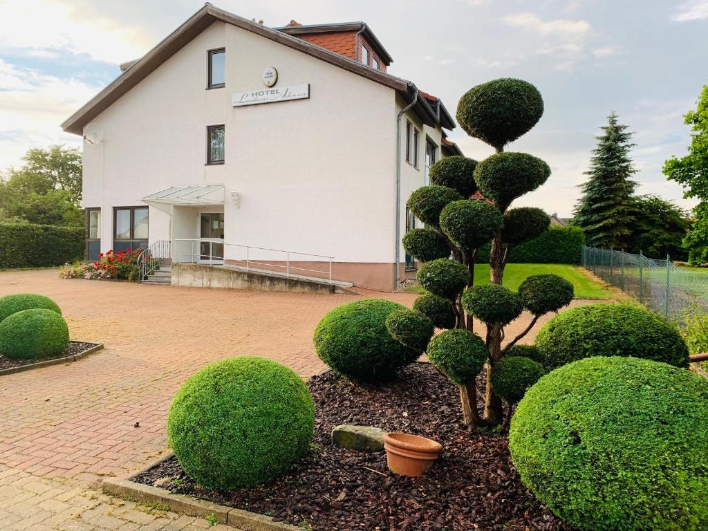 a tree in a garden in front of a building at Hotel Landhaus Adensen in Nordstemmen