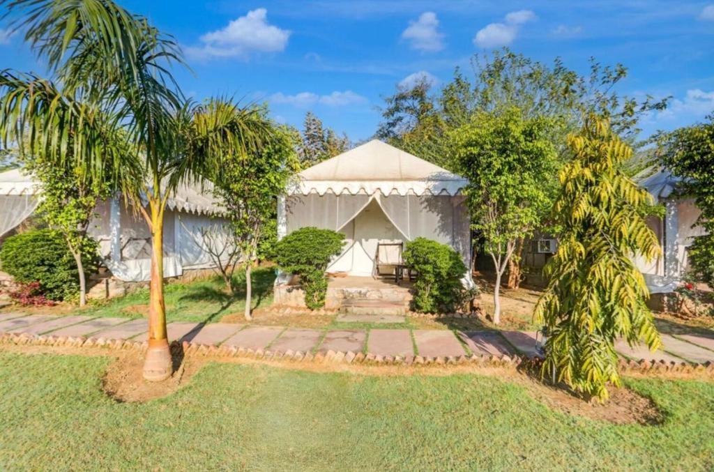 a white house with a palm tree in front of it at Tiger Resort Boho in Khilchipur
