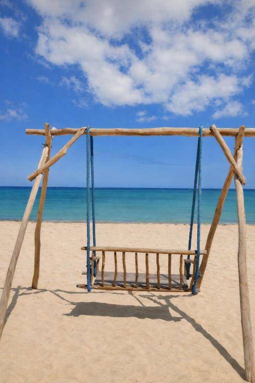 a swing on the beach with the ocean in the background at Espace baleine Anakao in Anakao