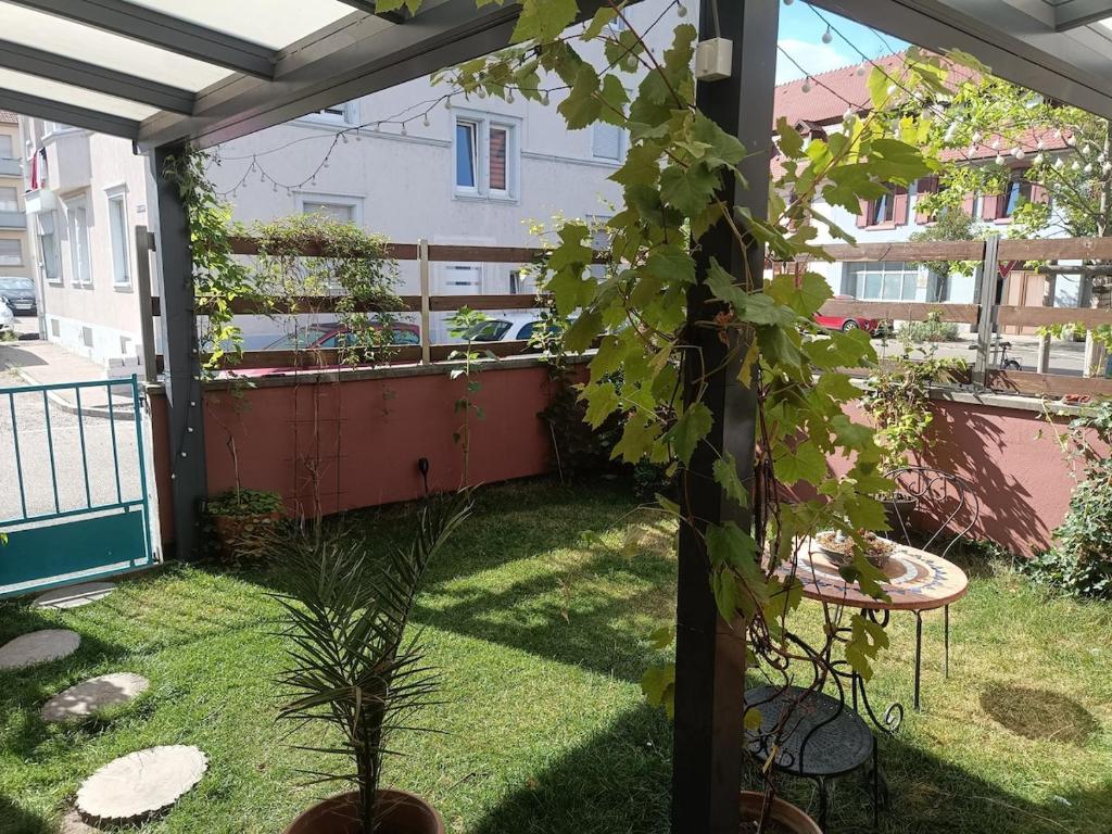 Charming guest suite in triborder area